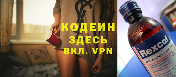 стаф Гусь-Хрустальный