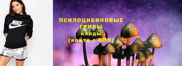 первитин Гусев