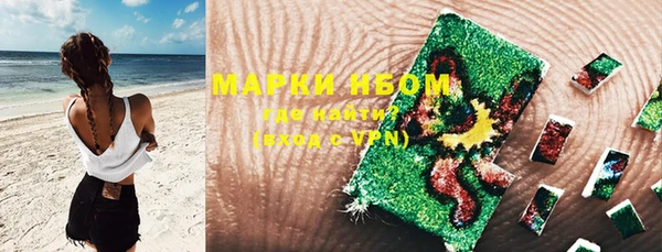 стаф Гусь-Хрустальный