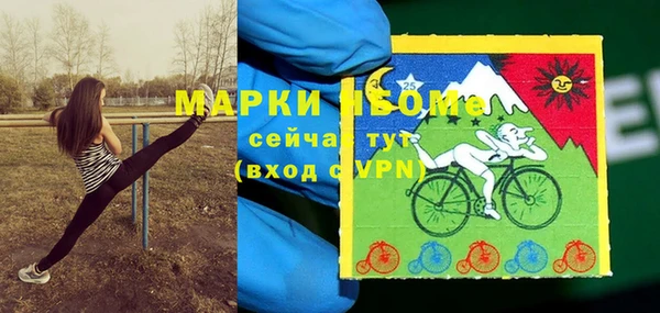 первитин Гусев