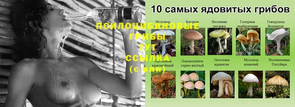 дурь Дмитриев
