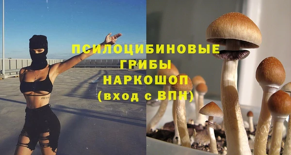 дурь Дмитриев