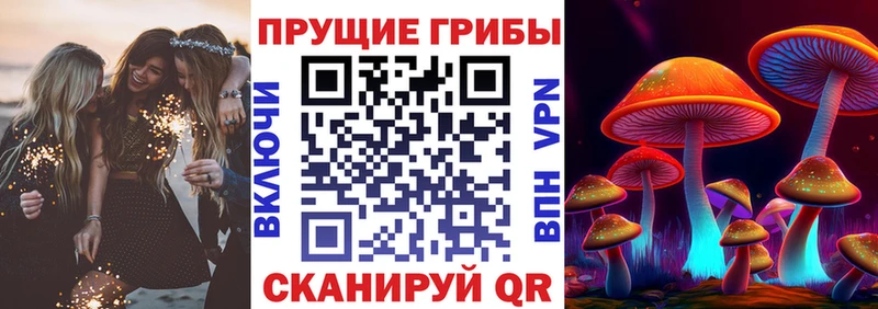 Купить закладки  Чита  Галлюциногенные грибы ЛСД 
