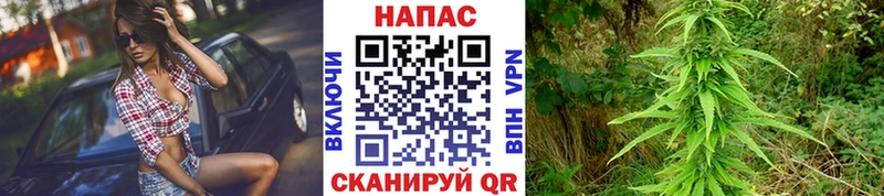 Купить где  Чита  Марихуана конопля 